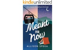 Meant for Now: A small town, black cat golden retriever romance. (The Love Linked Series Book 3)