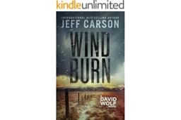 Wind Burn (David Wolf Mystery Thriller Series Book 19)