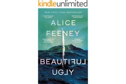 Beautiful Ugly: A Novel