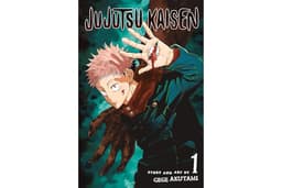 Jujutsu Kaisen, Vol. 1: Ryomen Sukuna