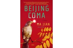 Beijing Coma: A Novel