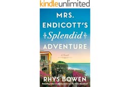 Mrs. Endicott's Splendid Adventure: A Novel