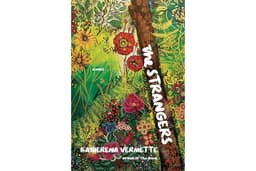 The Strangers: A Novel (Native Edge Series)