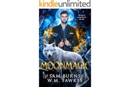 Moonmagic (Witchwolf Book 2)