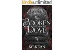 Broken Dove: A Dark Fantasy Academy Romance (Institute Thirteen Book 2)