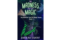 The Madness and the Magic: A Magical Romantic Comedy (Madness and Magic series Book 1)