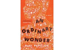 An Ordinary Wonder: A Novel