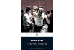 A View from the Bridge